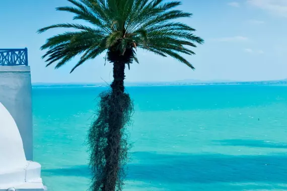 Tunis, Tunisie, panorama sur la mer de Sidi Bou Said